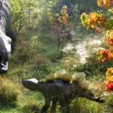 0309F 33 Freizeitpark Sottrum